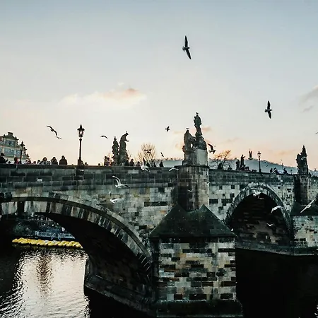Letni Na Prazske Letne H5
