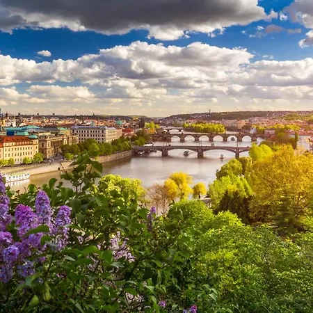 Letni Na Prazske Letne H5